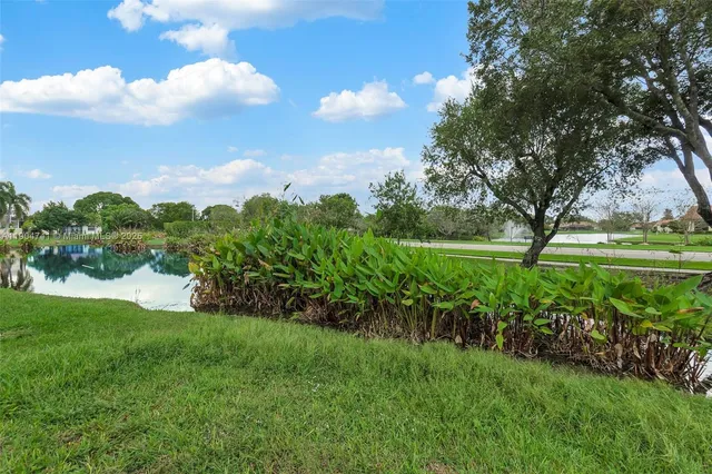 a view of a garden with a lake