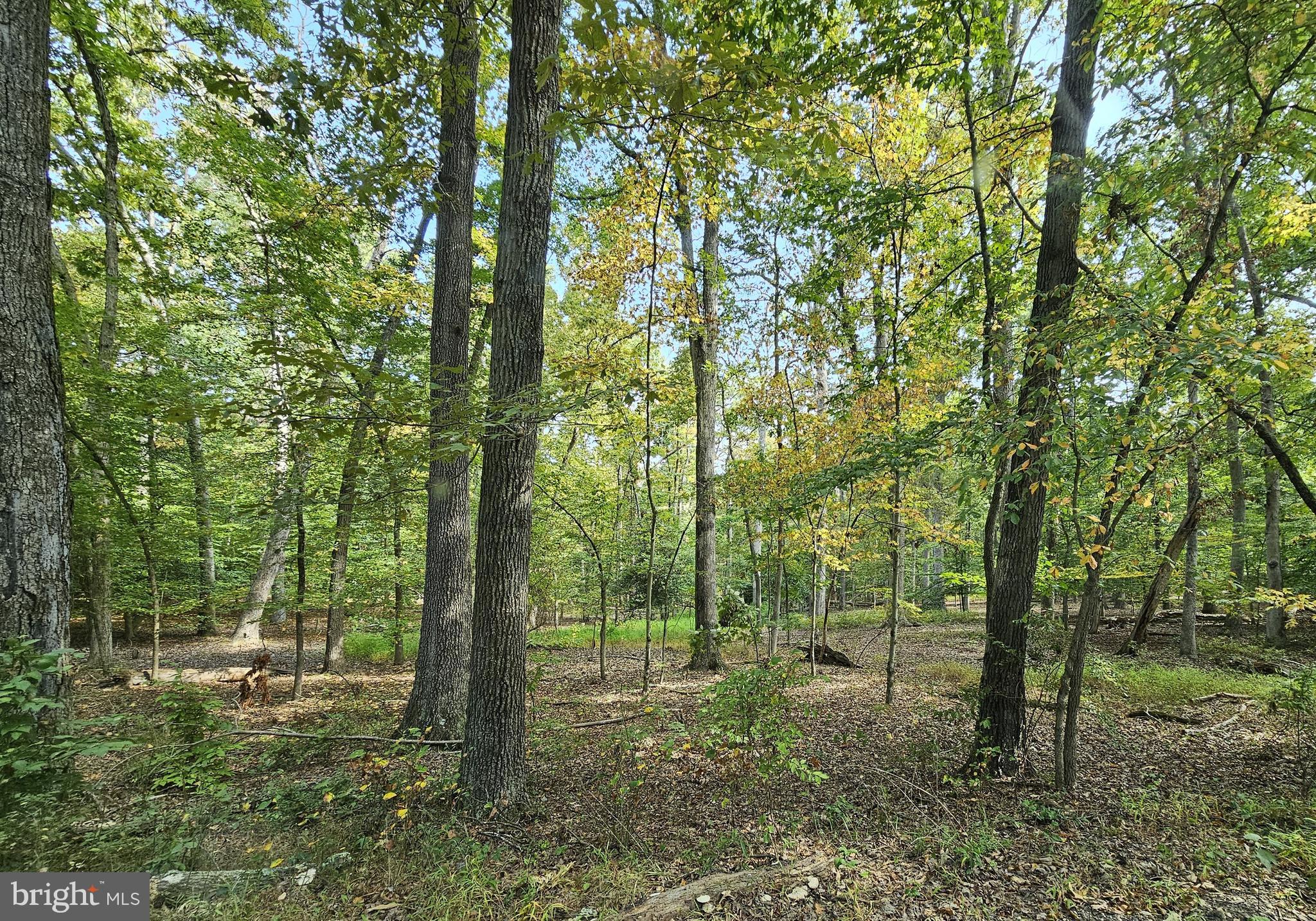 1160 Apple Valley Road Accokeek, MD 20607 - Photo 2 of 2 a view of outdoor space and trees
