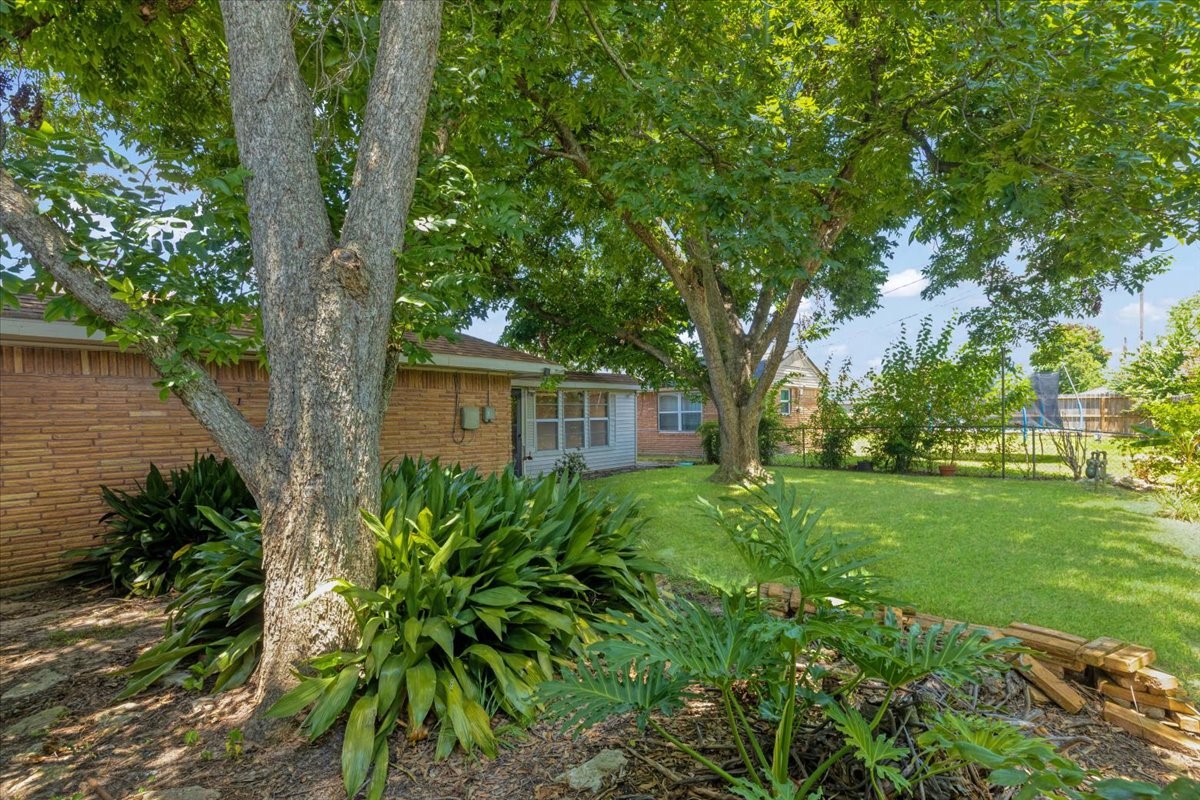 1403 Marlock Lane Pasadena, TX 77502 - Photo 30 of 32 a view of a yard in front of a house with a large tree