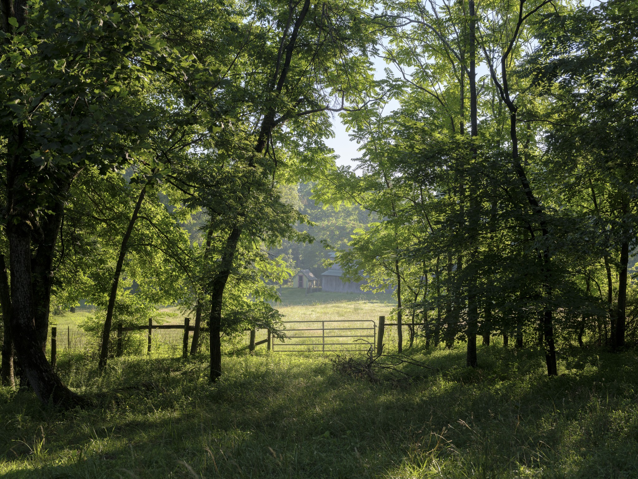 7725 Caney Fork Road Fairview, TN 37062 - Photo 4 of 59