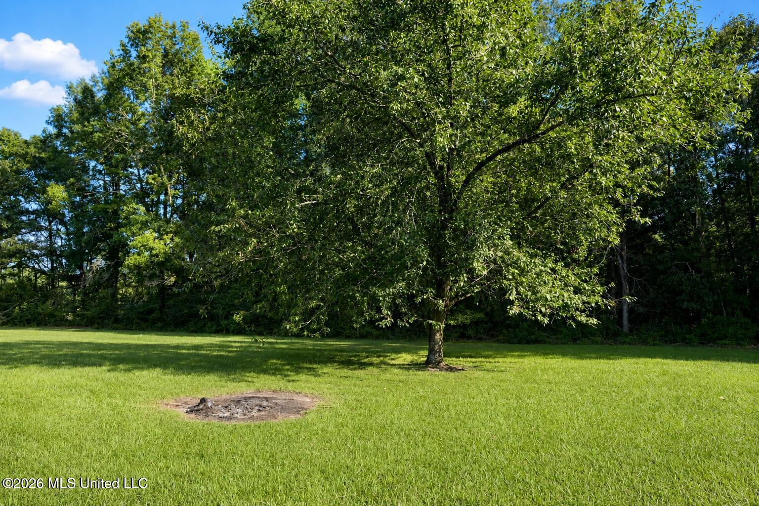 1070 Deerfield Road Summit, MS 39666 - Photo 23 of 23 9511FA5C-FD69-4265-993C-3B1CC2E97301