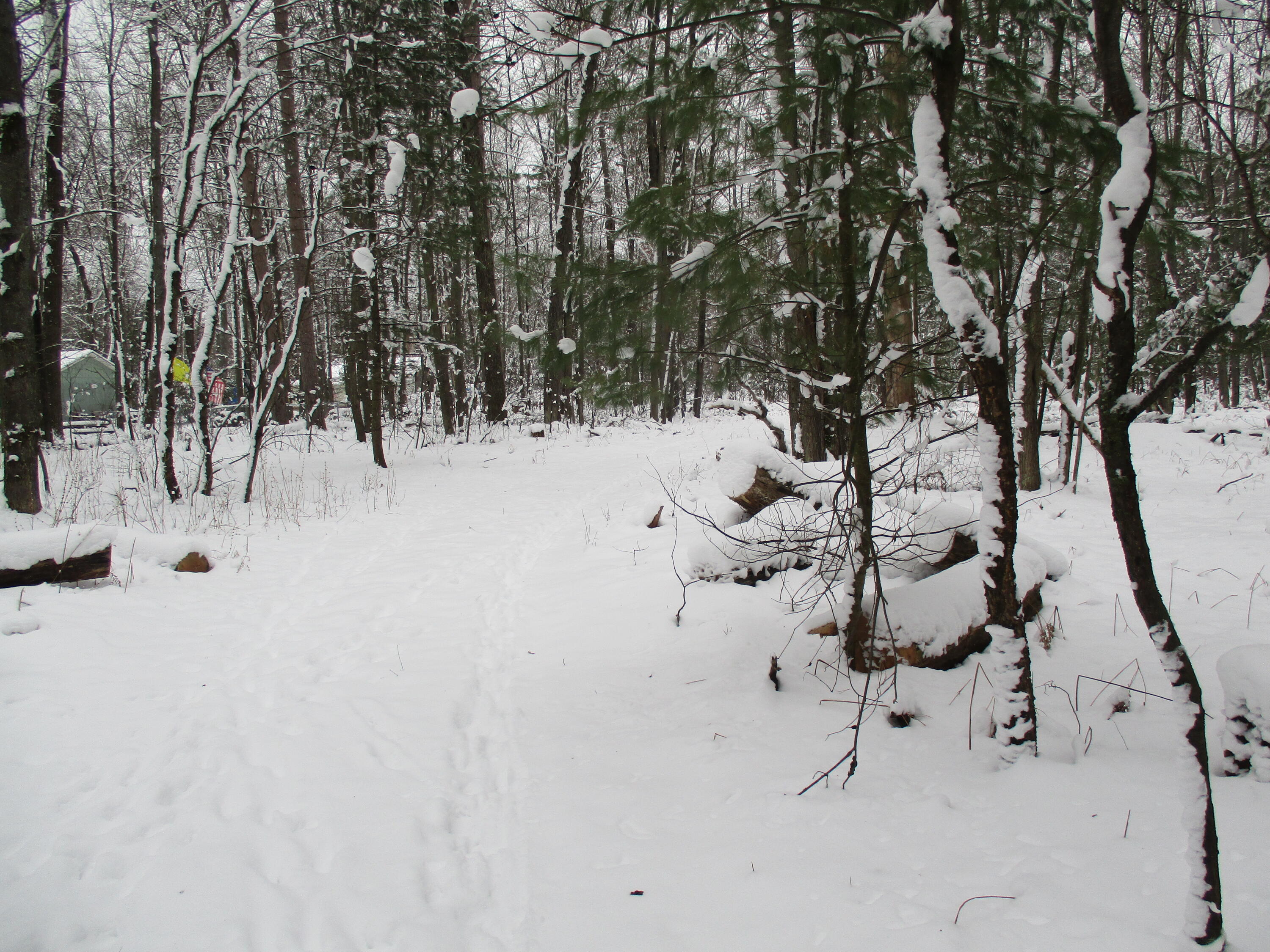 Trem Pal Road Grayling, MI 49738 - Photo 5 of 11 Gallery Image 5
