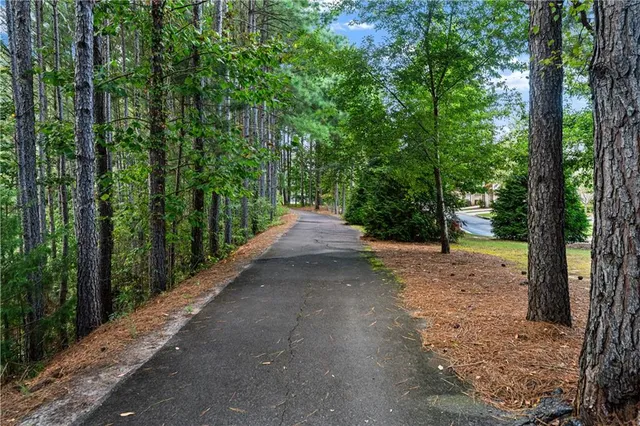a view of a yard with large trees