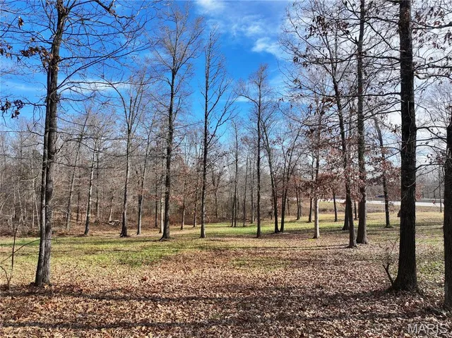 $149,000 | 0 Southwest Of Us Highway, Harviell, MO 63945