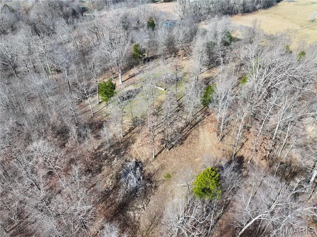 $149,000 | 0 Southwest Of Us Highway, Harviell, MO 63945