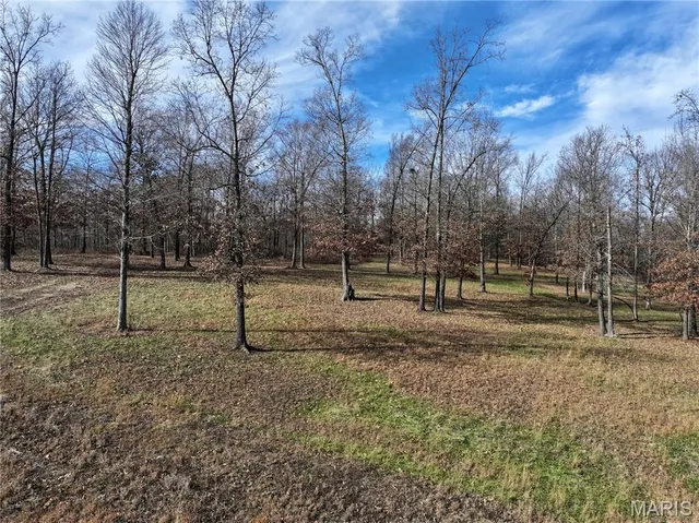 $149,000 | 0 Southwest Of Us Highway, Harviell, MO 63945