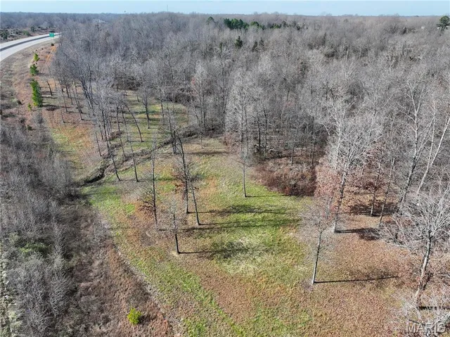 $149,000 | 0 Southwest Of Us Highway, Harviell, MO 63945