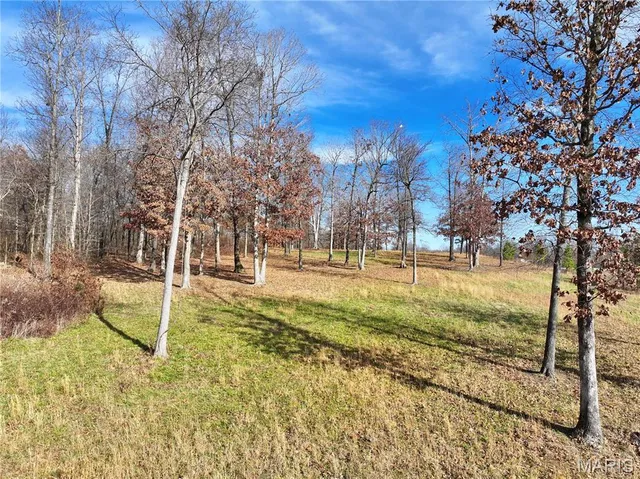 $149,000 | 0 Southwest Of Us Highway, Harviell, MO 63945