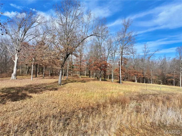 $149,000 | 0 Southwest Of Us Highway, Harviell, MO 63945