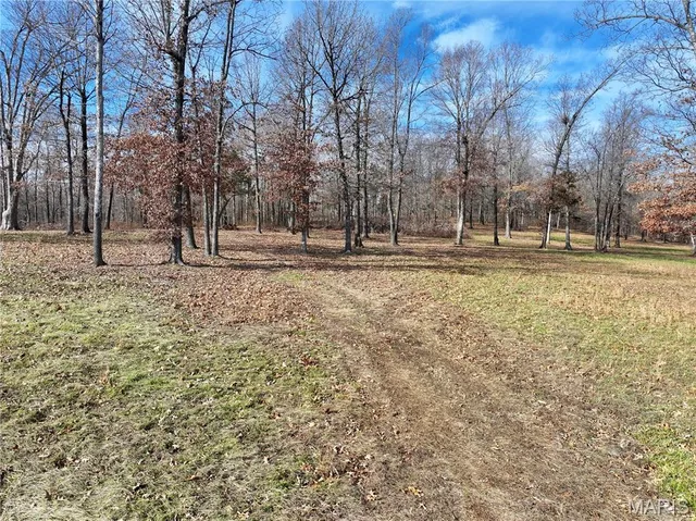 $149,000 | 0 Southwest Of Us Highway, Harviell, MO 63945