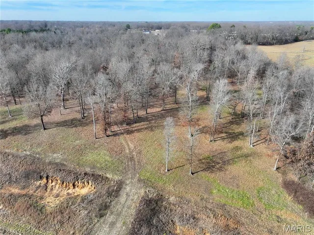 $149,000 | 0 Southwest Of Us Highway, Harviell, MO 63945