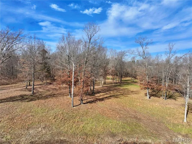 $149,000 | 0 Southwest Of Us Highway, Harviell, MO 63945