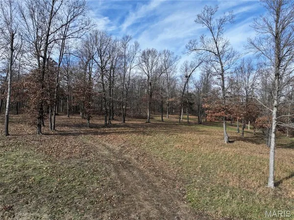 $149,000 | 0 Southwest Of Us Highway, Poplar Bluff, MO 63901