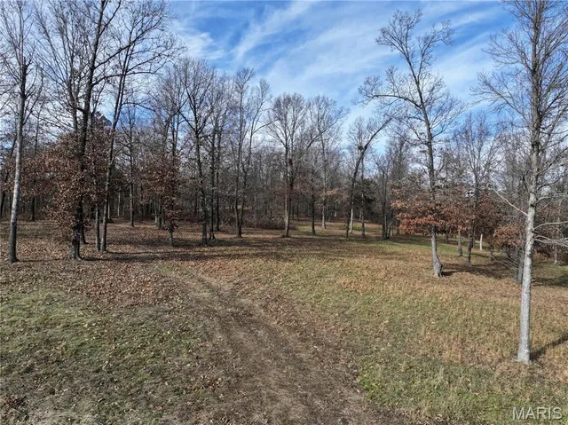 $149,000 | 0 Southwest Of Us Highway, Harviell, MO 63945