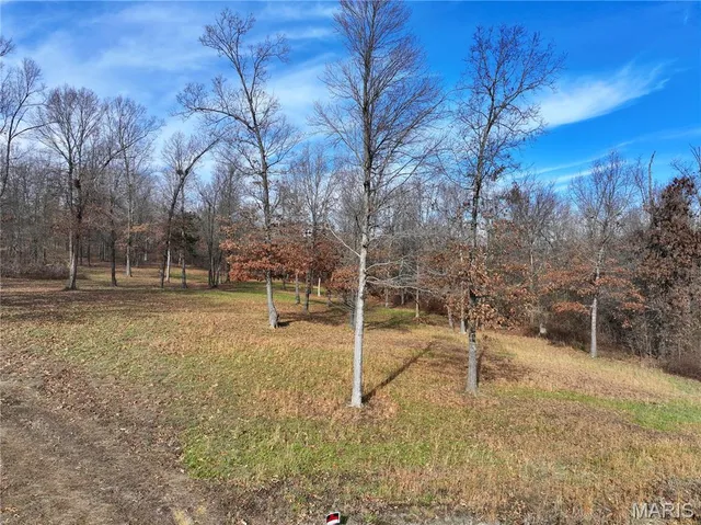 $149,000 | 0 Southwest Of Us Highway, Harviell, MO 63945