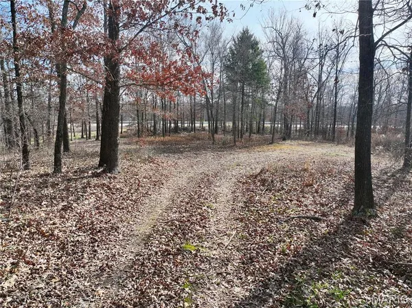 $149,000 | 0 Southwest Of Us Highway, Poplar Bluff, MO 63901