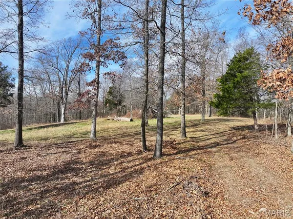 $149,000 | 0 Southwest Of Us Highway, Poplar Bluff, MO 63901