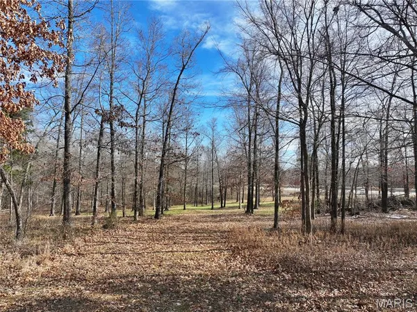 $149,000 | 0 Southwest Of Us Highway, Poplar Bluff, MO 63901