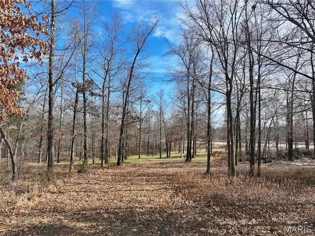 $149,000 | 0 Southwest Of Us Highway, Harviell, MO 63945
