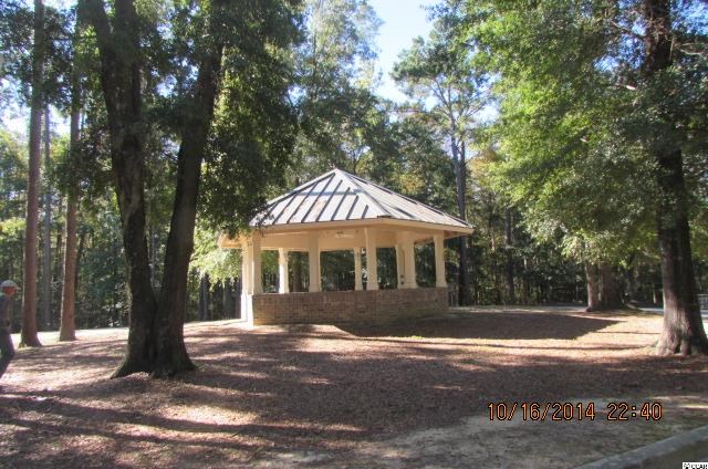 184 Knotty Pine Way Murrells Inlet, SC 29576 - Photo 8 of 25 Gallery Image 8