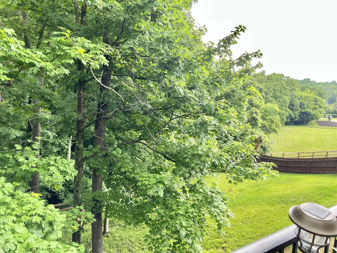 806 Ridgepoint Drive Independence, KY 41051 - Photo 23 of 27 Gallery Image 23