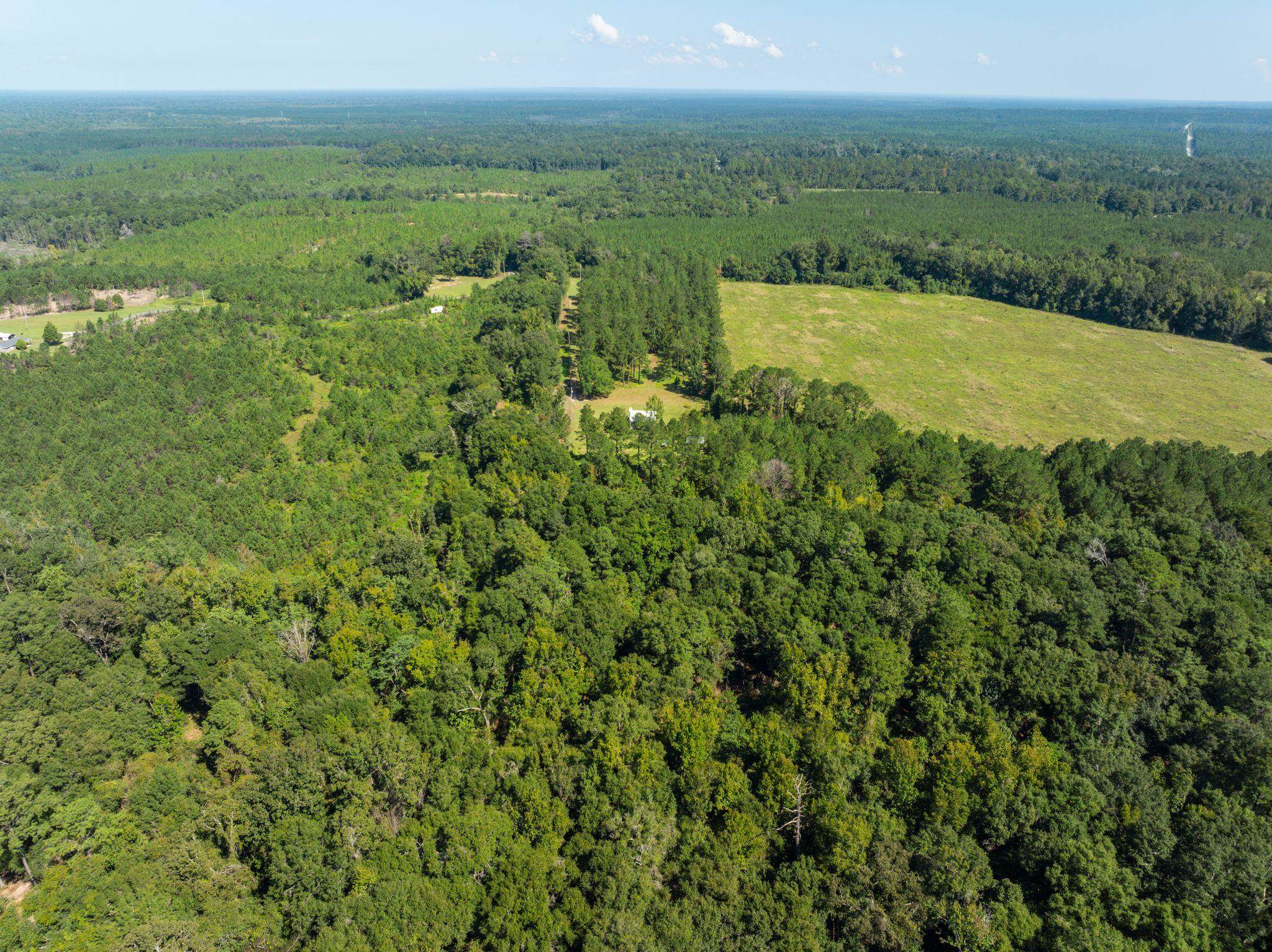 60998 Seales Road Stockton, AL 36579 - Photo 29 of 34 Aerial View