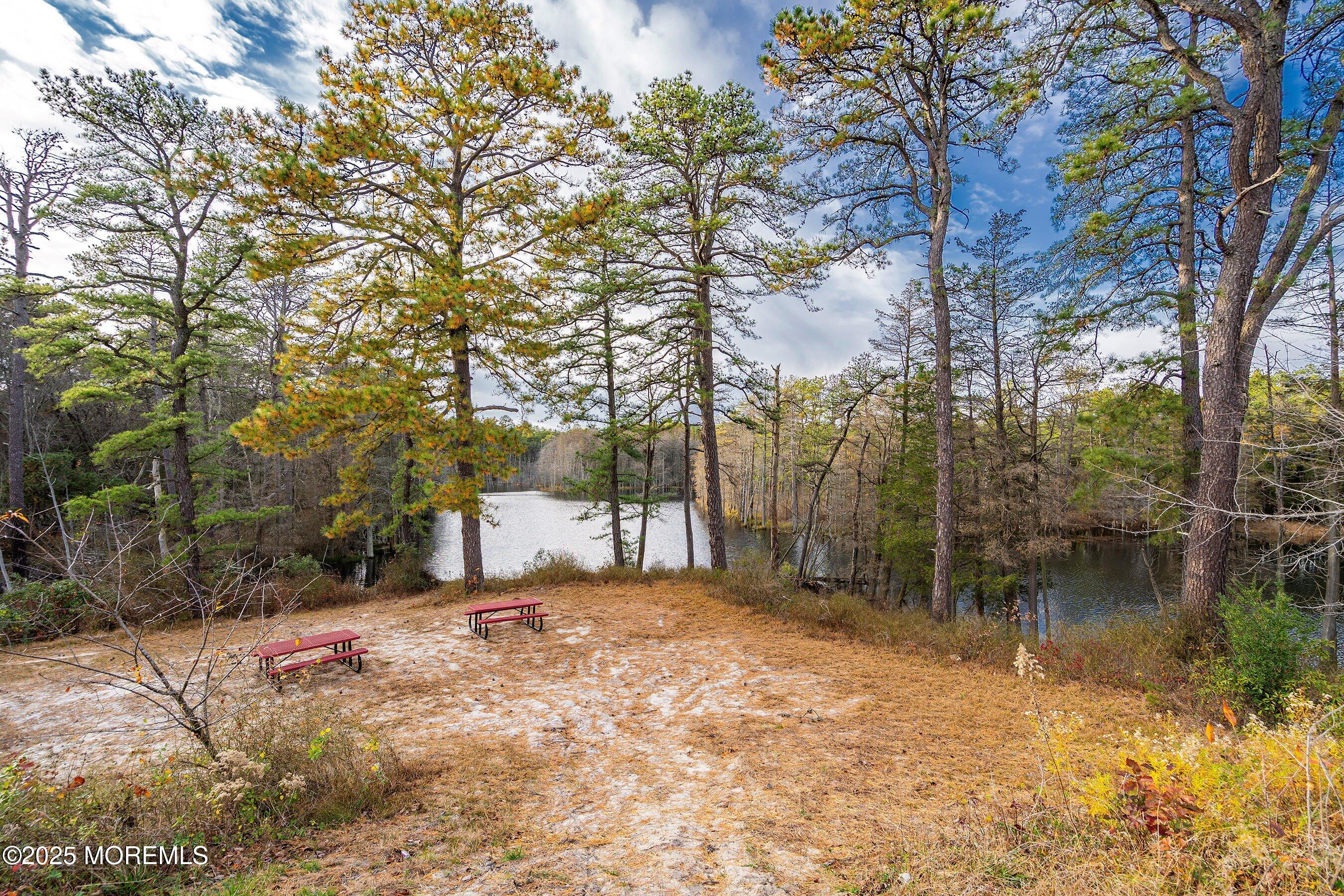 45 Beaver Avenue Whiting, NJ 08759 - Photo 17 of 19 19-Picnic Area