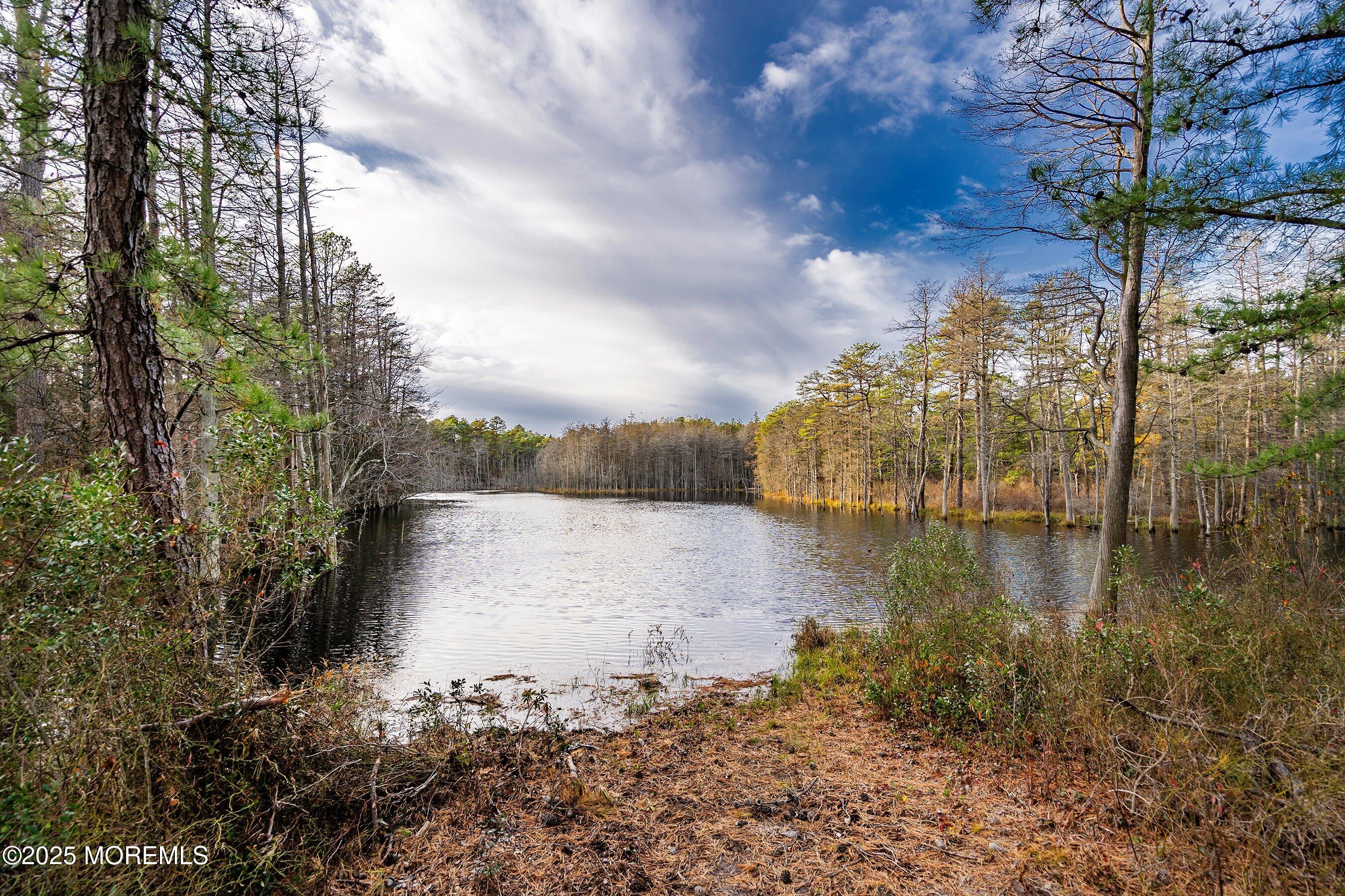 45 Beaver Avenue Whiting, NJ 08759 - Photo 18 of 19 20-Lake