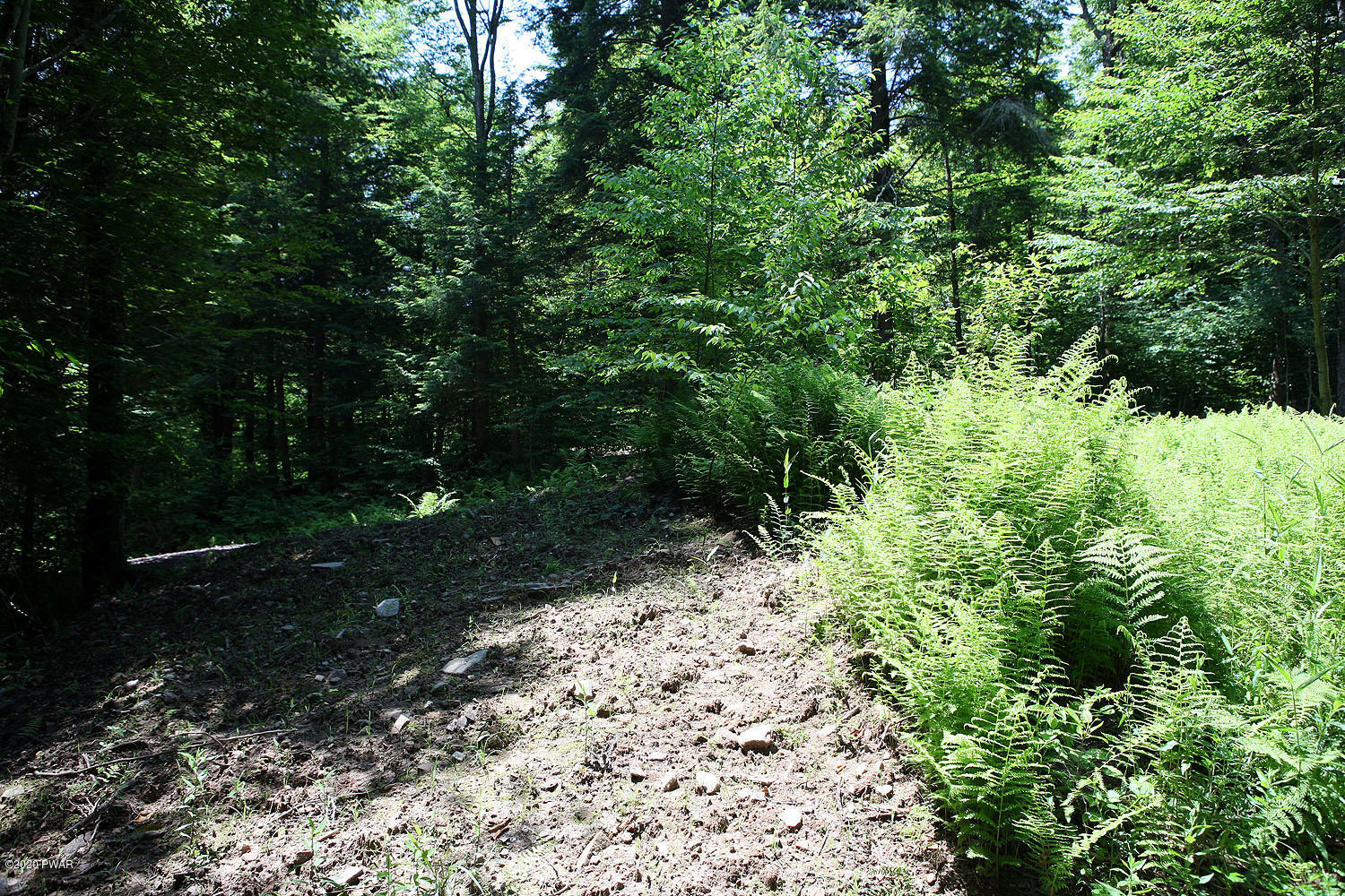 0 Braman Road Equinunk, PA 18417 - Photo 26 of 36