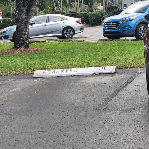 a view of a yard with car parked