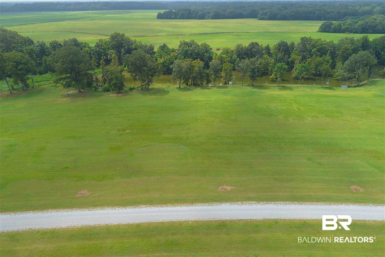 1 Jimmy Phillips Road Greensboro, AL 36744 - Photo 19 of 46