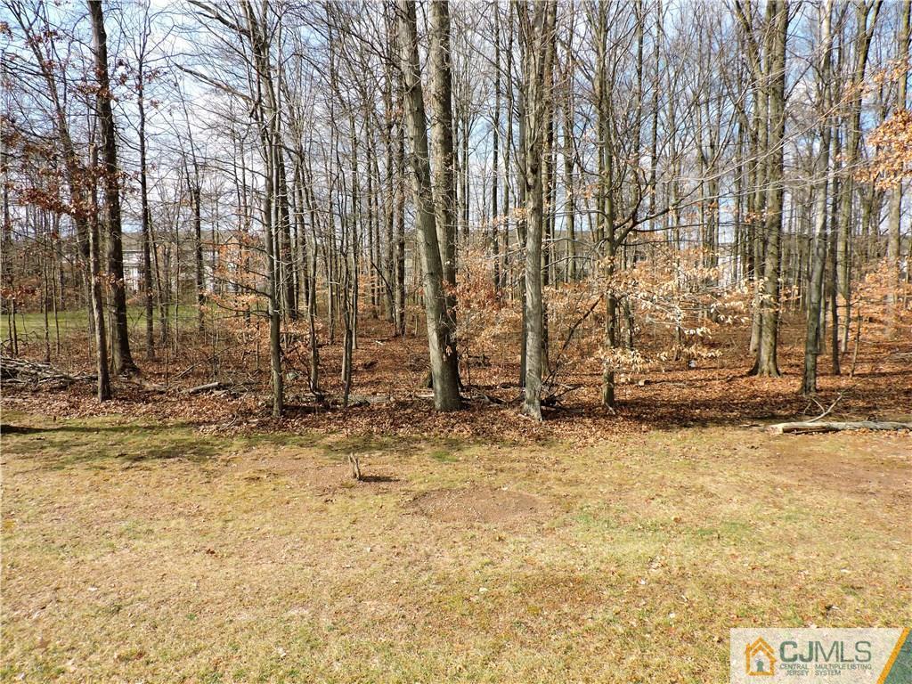 206 Hawthorne Road North Brunswick, NJ 08902 - Photo 23 of 24 a view of a pathway with a yard