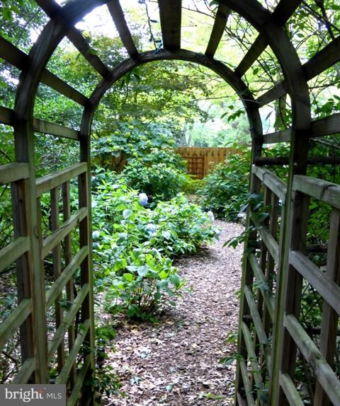 2200 Salisbury Road Silver Spring, MD 20910 - Photo 24 of 26 a view of a garden with plants