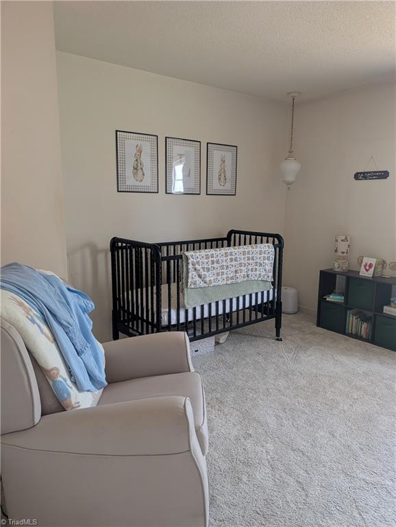 4661 Kinnamon Road Winston-Salem, NC 27103 - Photo 23 of 26