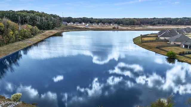 $315,000 | 260 Rockbridge Drive, Madison, MS 39110