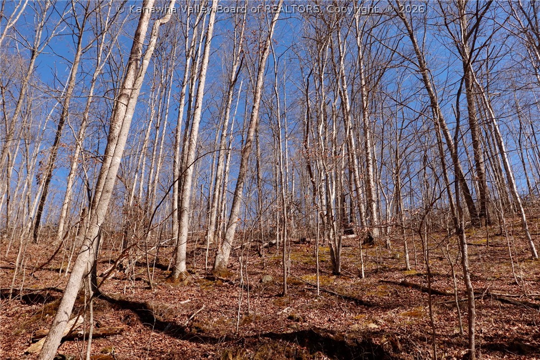 0 Straight Creek Road Walton, WV 25286 - Photo 11 of 47 Gallery Image 11