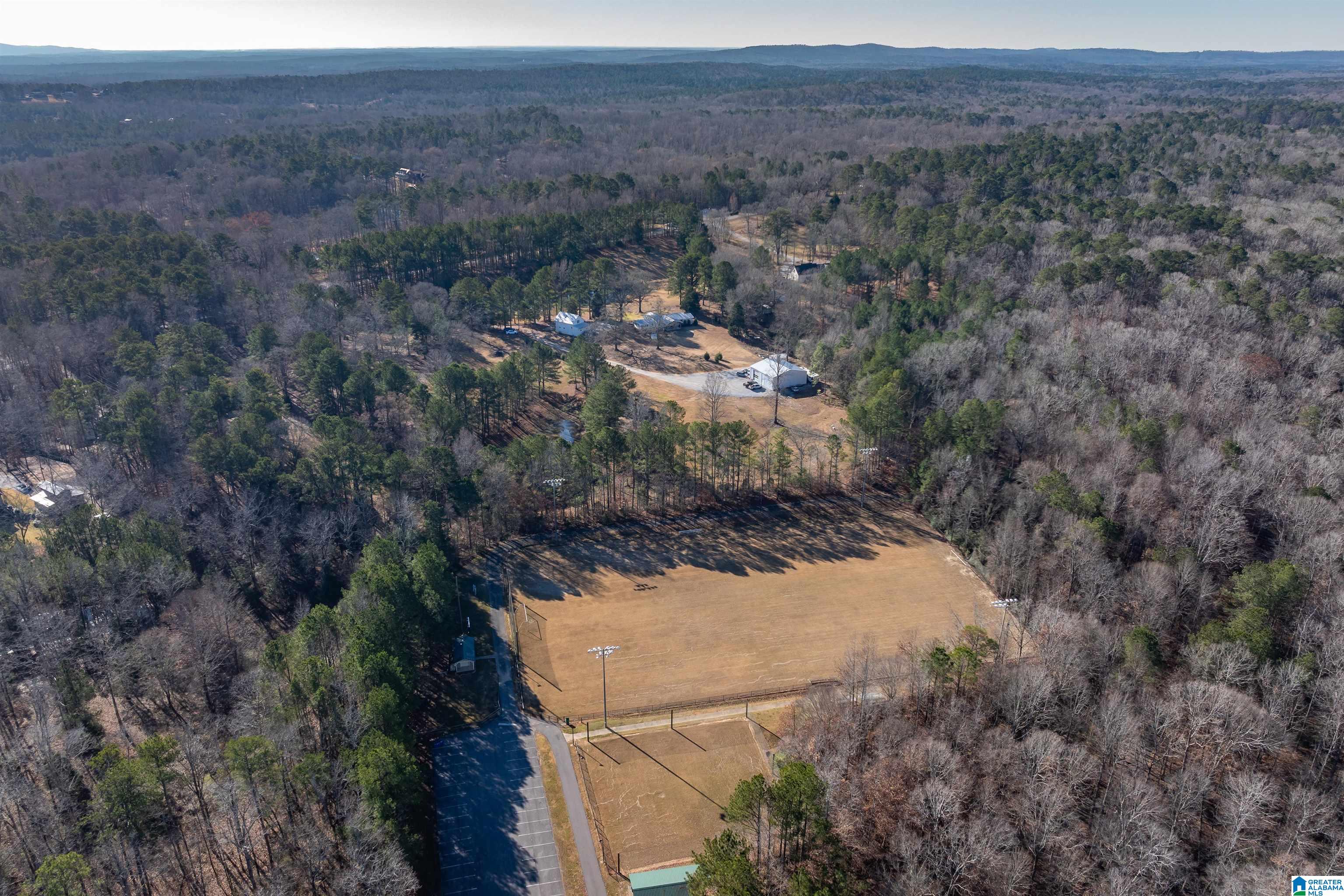 3342 County Road 39 Chelsea, AL 35043 - Photo 49 of 63
