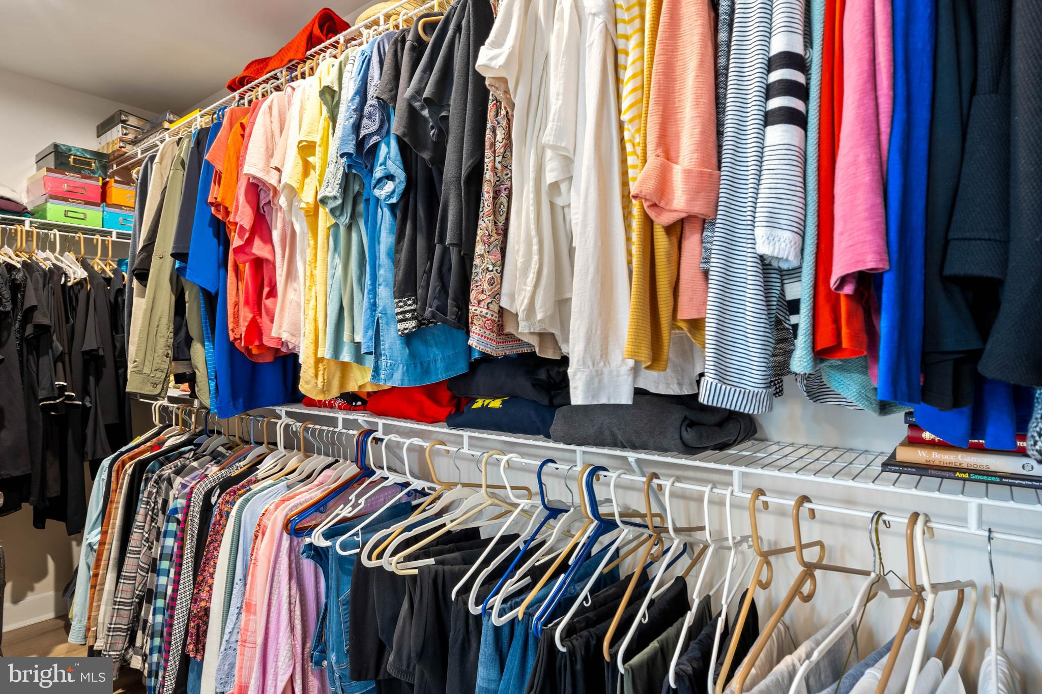 19016 Trimaran Drive Lewes, DE 19958 - Photo 23 of 44 a view of walk in closet with clothes and shoes