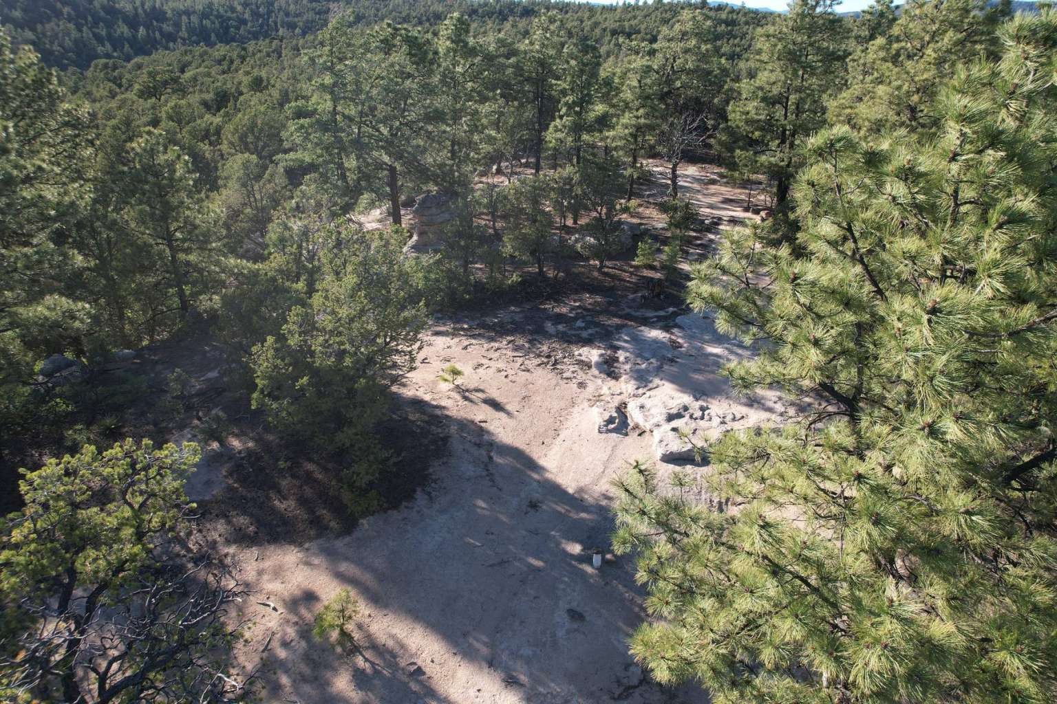 0 Pinon Ridge Road Pecos, NM 87552 - Photo 3 of 39