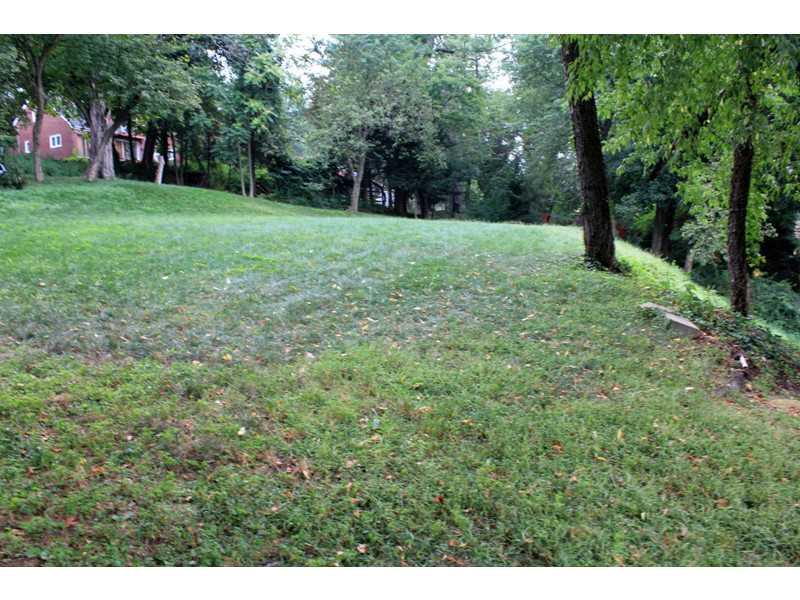 124 Washington Road Forest Hills, PA 15221 - Photo 13 of 14 Yard/Garden.