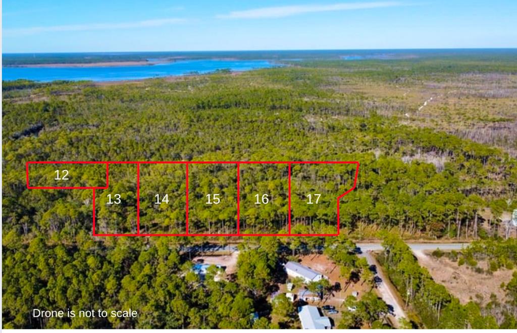 253 Twin Lakes Road Eastpoint, FL 32328 - Photo 16 of 16