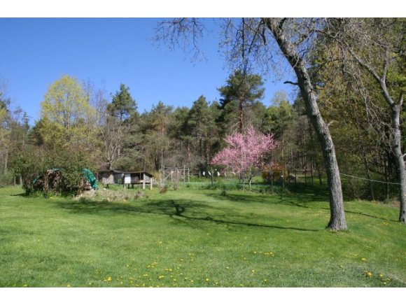 49 Muckey Road Binghamton, NY 13903 - Photo 7 of 10 Gallery Image 7