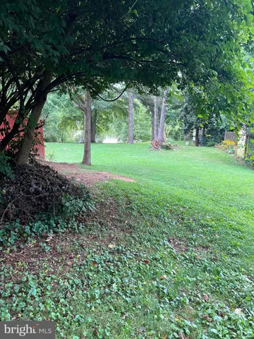 a view of outdoor space with deck and trees