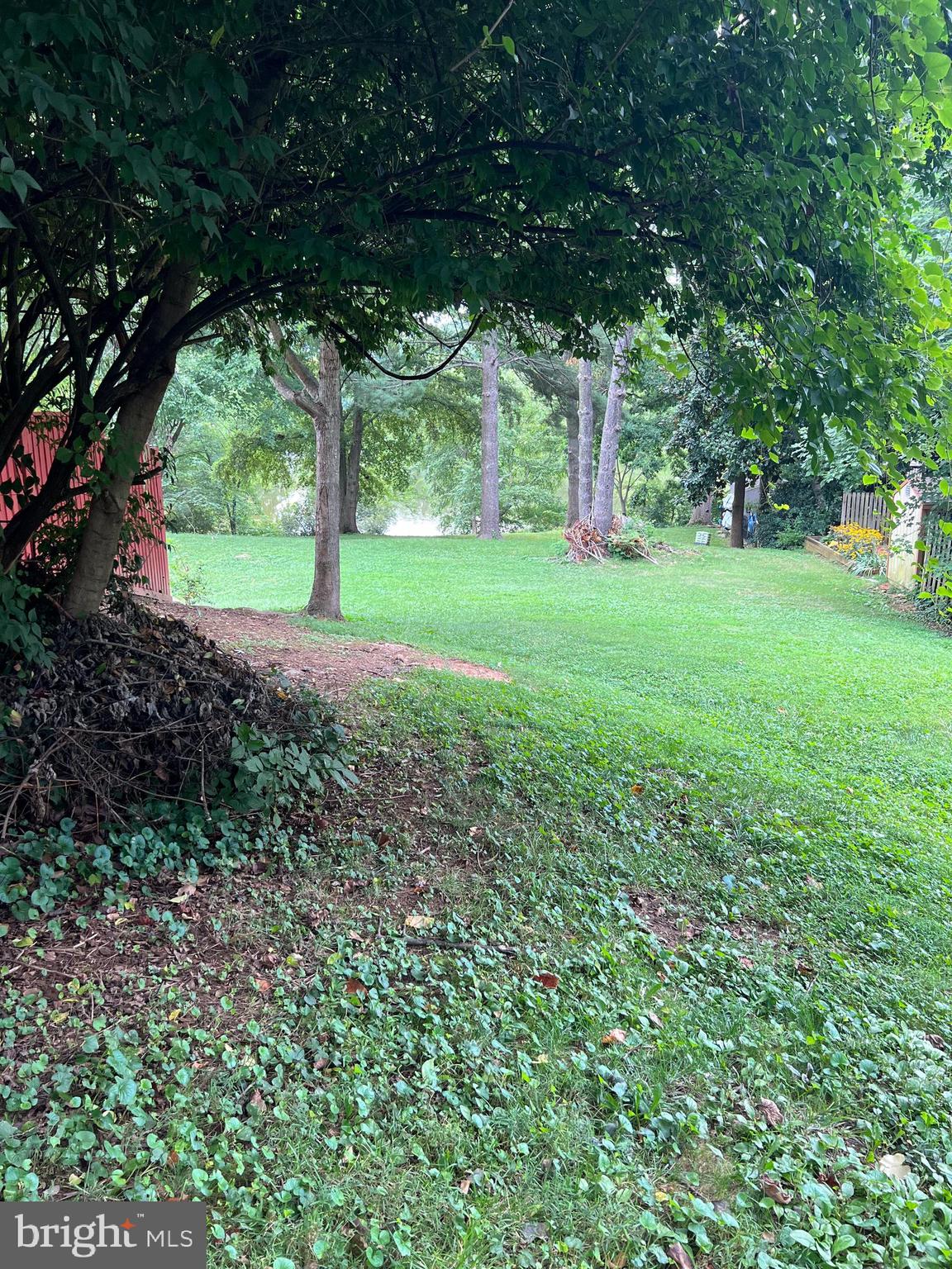 9513 Burdett Road Burke, VA 22015 - Photo 35 of 40 a view of backyard with green space