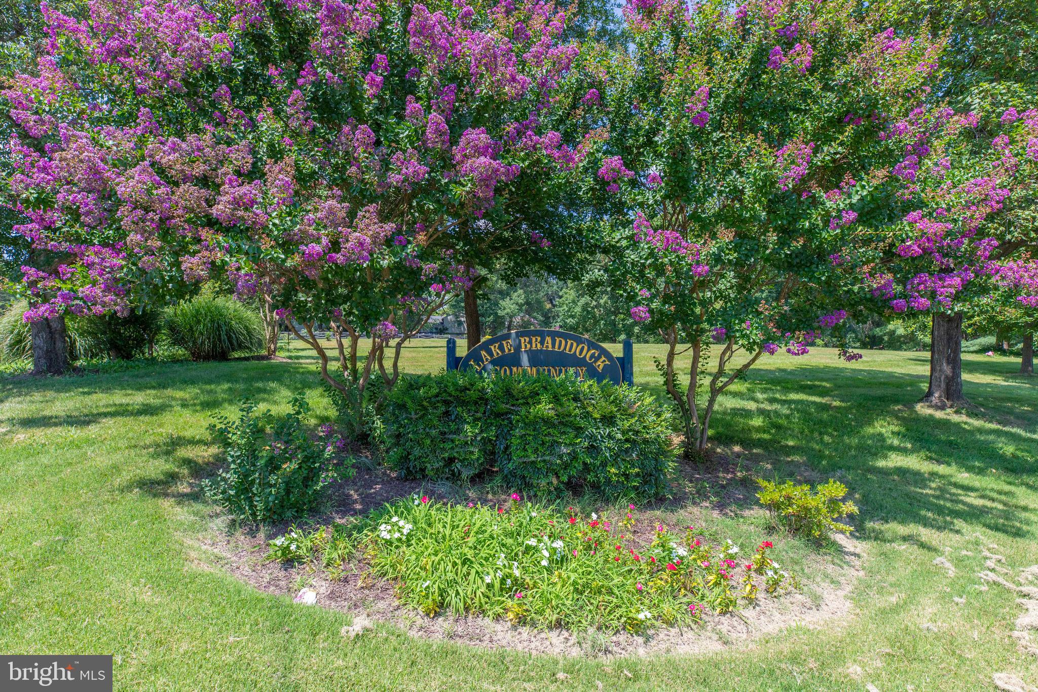 9513 Burdett Road Burke, VA 22015 - Photo 40 of 40 a view of a flower in a garden