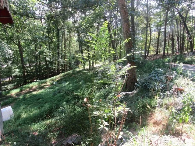 a view of a lush green forest with lots of trees