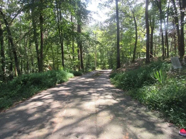 a view of outdoor space and green space