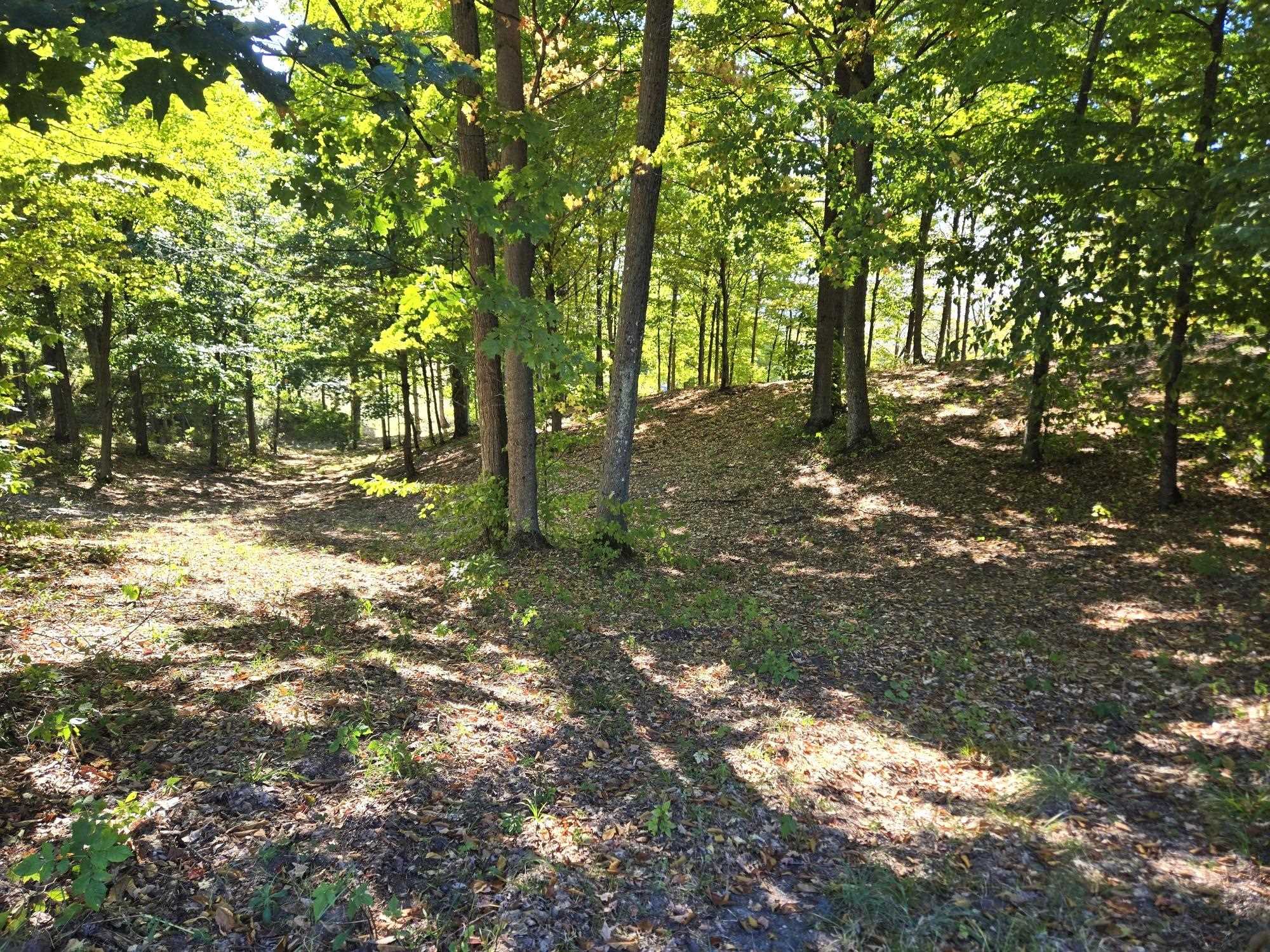 13 Heather Ridge Trail Beulah, MI 49617 - Photo 4 of 9