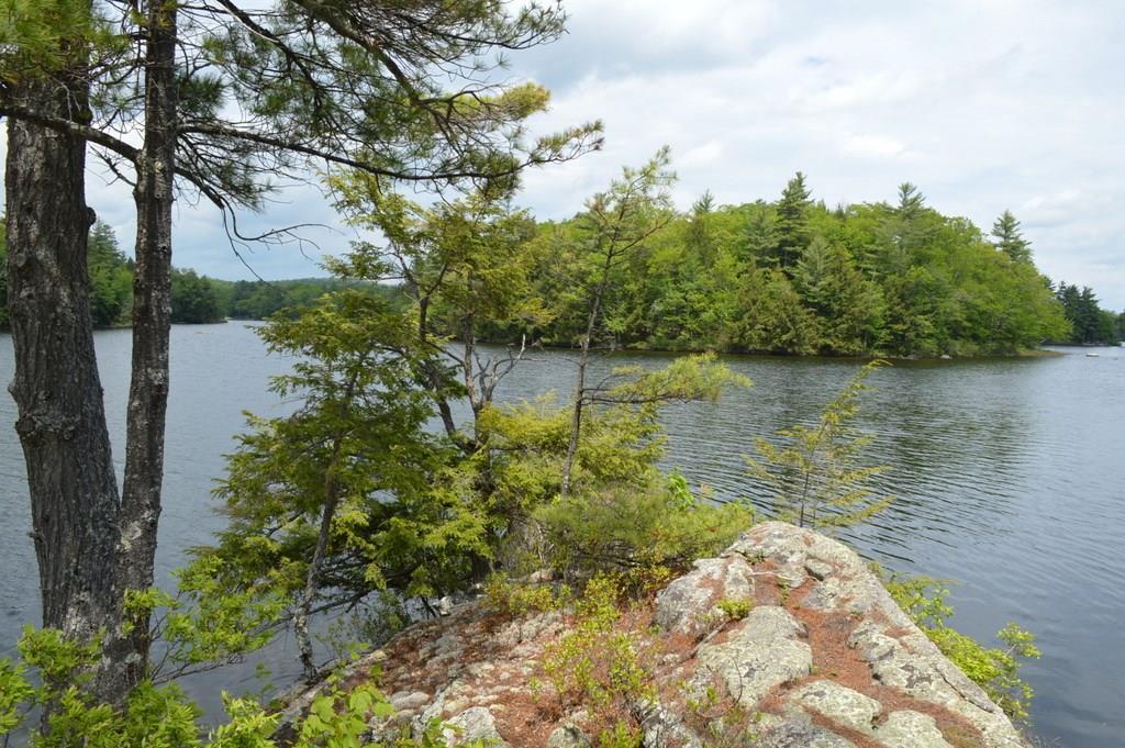 243 Shore Road Fayette, ME 04349 - Photo 8 of 35 Photo