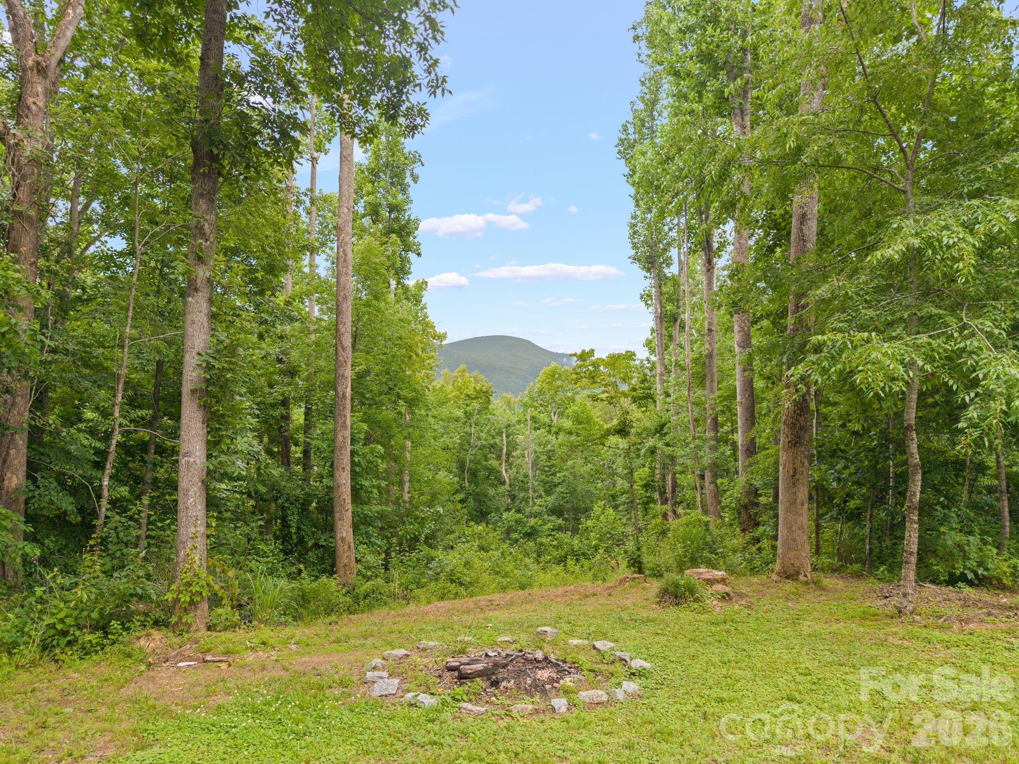 813 Beech Tree Place Hendersonville, NC 28792 - Photo 37 of 41